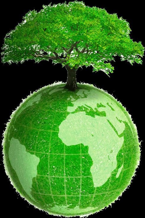 100% Eco-Friendly Products - DuPont Tyvek